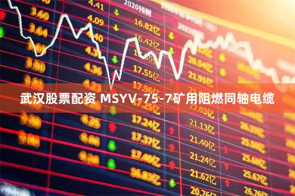 武汉股票配资 MSYV-75-7矿用阻燃同轴电缆